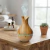 HUMIDIFICADOR DIFUSOR AROMATERAPIA CON LUZ LED DISEÑO LARGO MADERA