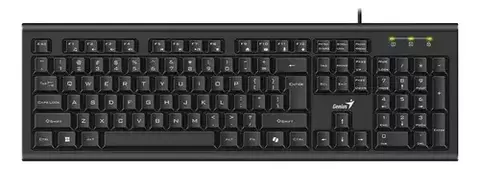 TECLADO GENIUS KB-113 USB BLACK - comprar online