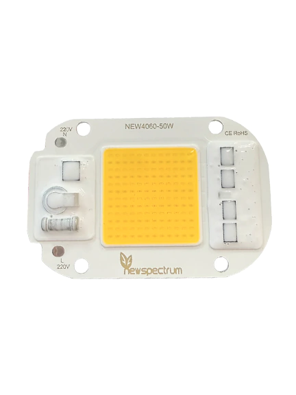 LED warm white 6000/6500k 12v - comprar online