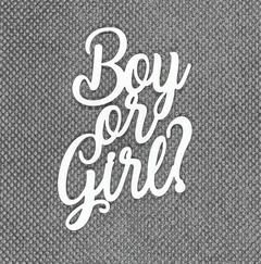 Acrílico BOY OR GIRL