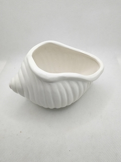 Vaso Cachepot Conchas