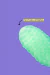 Go! Masturbador Egg na internet