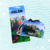 COMBO NATACIÓN PERSONALIZADO - Estercito Store