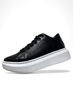 Liza - Oferta - SAIA