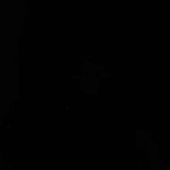 WOW! Polvo para embossing: Primary Ebony Super Fine (WH00SF) - comprar online