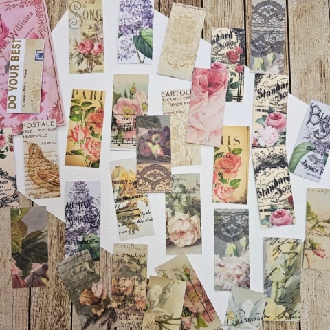 Stickers: Botanic Ephemera 1 de Marymer