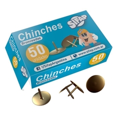 CHINCHES BRONCEADAS SIFAP x50 u