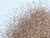 Glitter 008" Coloridos Trend - loja online