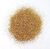 Glitter 008" Dourado na internet