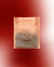 Finca Las Flores x 250 gr - comprar online