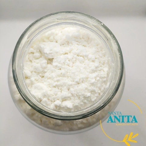 Leche de coco en polvo - 100g