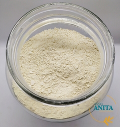 Cebolla en polvo- 50g