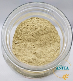 Ajo en polvo- 50g