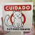 Azulejo Gatinho Bravo - comprar online