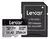 Memoria Micro sd Lexar C10 U3 V30 160 MB/s 256 GB en internet