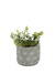 Macetas De Plantas Artificiales Decorativas Vgo MCC5087 15x15x16cm
