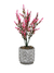 Plantas Artificiales Decorativas Vgo Mcc7053 11x11x35 cm.
