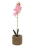 Plantas Artificiales Decorativas Vgo Mcc7056 13X13X46CM