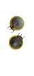 5 X Pilas Cr2430 Con Terminales Posicion Vertical - comprar online