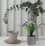 Plantas Artificiales Decorativas Vgo Mcc7055 11x11x37cm - comprar online