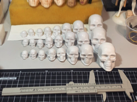 Ref.3907- 24 caveiras em resina poliéster prontas para compor suas esculturas (escalas de tamanhos variadas como na foto)