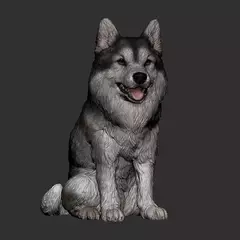 Ref.N405- Dog Husky Siberiano pronto para pintura em resina 5,5cm