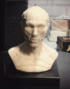 Ref.7890- Ecocher busto para referências escala 1/5. - comprar online