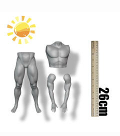 Ref.M001- Kit corpo completo masculino com molde cabeça de presente extra surpresa