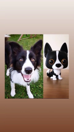 Kombo Todos os moldes da coleção POP - Nanda Regina