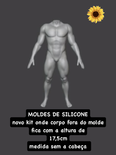 Ref.x3246- Novo MOLDE corpo masculino completo o corpo fora do molde com 17,5cm de altura sem a cabeça