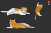 Ref.S1167- Molde gato 4 cm