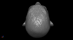 Ref.K017- Cabeça pronta em resina para pinturas e projetos artísticos 5,5cm on internet