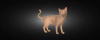 Ref.c200 Gatinho pronto para compor seus projetos artísticos
