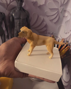 Ref.800- BLACKFRIDAY///Molde pet Dog labrador retriever escala 1/10 proporcional as esculturas feitas com moldes coleção humaninhos - Nanda Regina