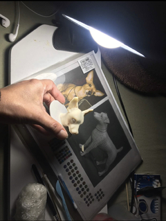 Ref213- Seu pet em miniatura na internet