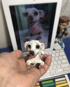 Ref213- Seu pet em miniatura