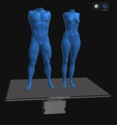 Imagem do Ref.x3022- MOLDES corpo completo casal novas medidas alturas do corpo sem a cabeça 17cm feminino e 17,5cm masculino