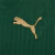 Conjunto Infantil Palmeiras I 24/25 - Infantil - Verde na internet