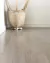 Porcelanato Ilva Tribeca Wood Franklin 20x120 - tienda online