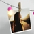 Guirnalda para fotos Pon Pon con luz en internet