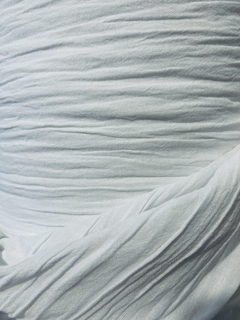 Gasa Tusor Color Blanco óptico 3 MT de ancho