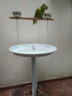 ARO PARA LORO