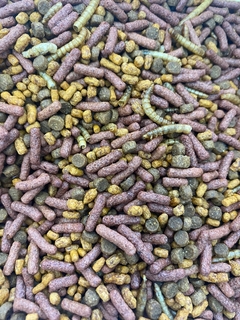 MIX INSECTIVOROS
