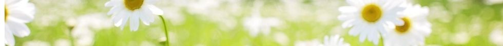 Banner Dra Pepa Exoticos