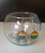 AROS LGBT