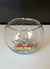AROS PANSEXUAL