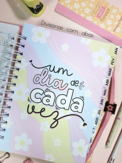 Imagem do Organizador financeiro