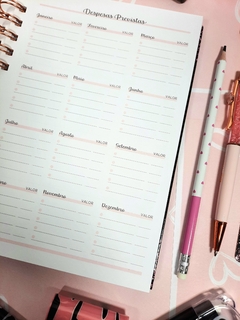 Imagem do Planner financeiro Living