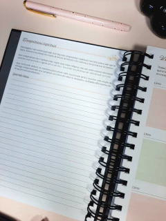Agenda Cristã e Devocional 2025 1 dia tamanho A5