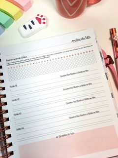 Planner permanente Self Love tamanho Master na internet